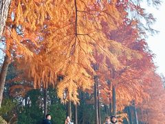 -长广溪湿地公园