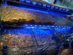 -星伦多自助料理(宝山龙湖天街店)