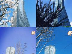 -西湖文化广场