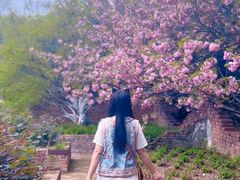 -武汉园博园(武汉自然博物馆)