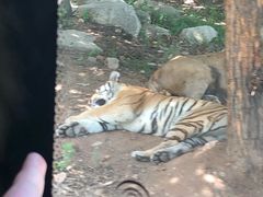 -西安秦岭野生动物园