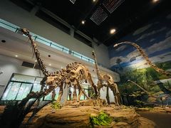-自贡恐龙博物馆