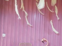 -火星工厂·桌游·团建聚会·轰趴馆(厦滘店)