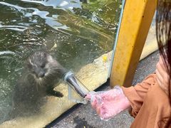 -灵玲国际马戏城