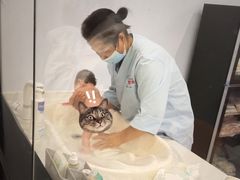 -优护佳月嫂育儿嫂中心(静安店)