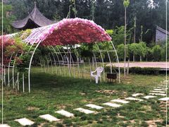 -渭南桃花源民俗文化园