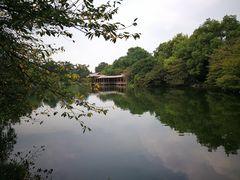 -西湖外事游船(花港观鱼码头)