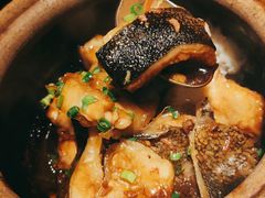 -甄御•海鲜新青岛菜(麦岛店)