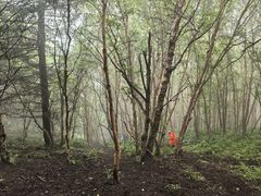 -灵山