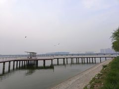 -天津金海湖