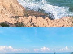 -广东惠东海龟国家级自然保护区
