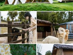 -杭州开元森泊度假乐园