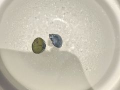 -海鼎荟海鲜姿造(泉州仟禧店)