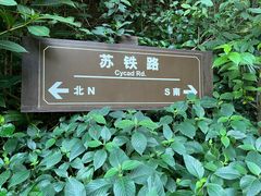 -深圳仙湖植物园