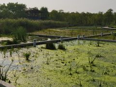 -永定河休闲森林公园
