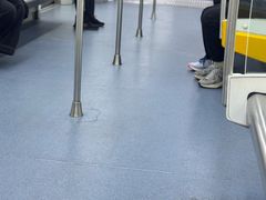 -红树湾(地铁站)