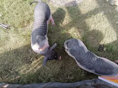 -祥源·阜阳生态乐园