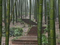 -蜀南竹海景区
