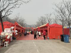 -北京凤凰岭