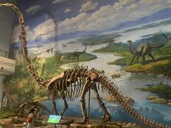 -自贡恐龙博物馆