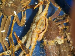 -海景壹号大酒店(惠钱路店)