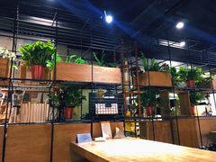 大堂-ZM COFFEE(西安路店)