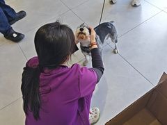 -关爱宠物医院·猫科中心·消化科(滨湖万达分院)