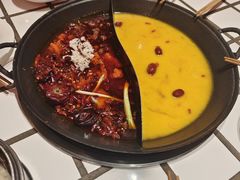 -朱光玉火锅馆(正弘城店)