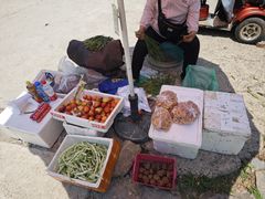 -阳台山自然风景区