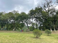 -金陵矩阵(聚宝山公园店)