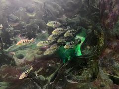 -常州海昌海洋探索馆