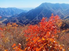 -大岭沟猕猴桃谷风景区