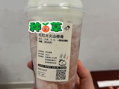 红红火火山楂莓-喜茶(东莞汇一城店)