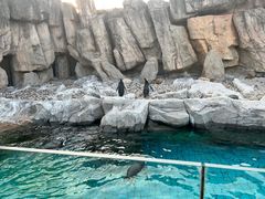 -上海野生动物园