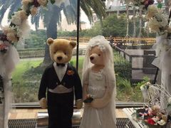 -济州岛泰迪熊博物馆