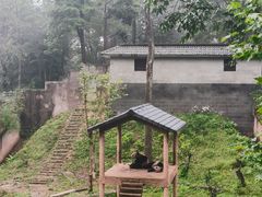 -中国大熊猫保护研究中心雅安碧峰峡基地