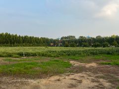 -兰陵国家农业公园