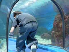 -福州罗源湾海洋世界旅游区