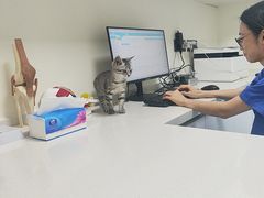 -全心全意动物诊疗中心医院(北苑店)