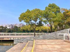 -新江湾城公园