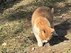 -南京金牛湖风景区