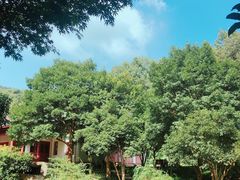 -杭州少年儿童公园