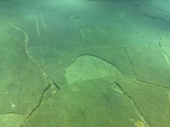 -白鹤梁水下博物馆