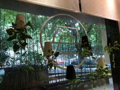 -柴务处·柴犬主题狗咖