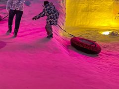 -沈阳奥体冰雪嘉年华