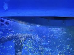 -海合安青岛极地海洋公园