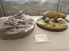 -辽宁古生物博物馆