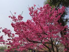 -大宁公园