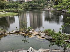 -四海公园(南山区)