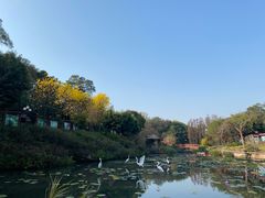 -广州莲花山旅游区